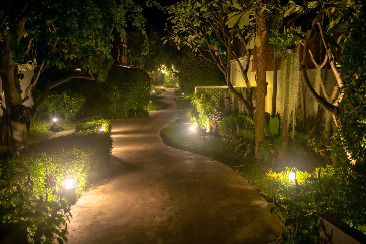 Lighted Path