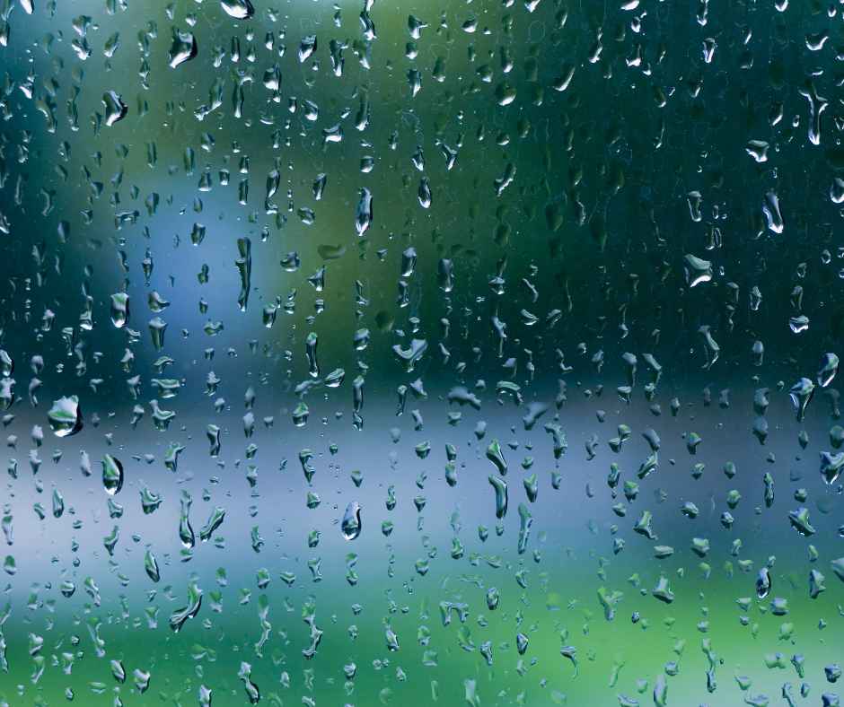 Raindrops on a window
