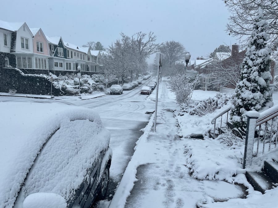 Neighborhood street after a snowstorm; cars are covered in snow